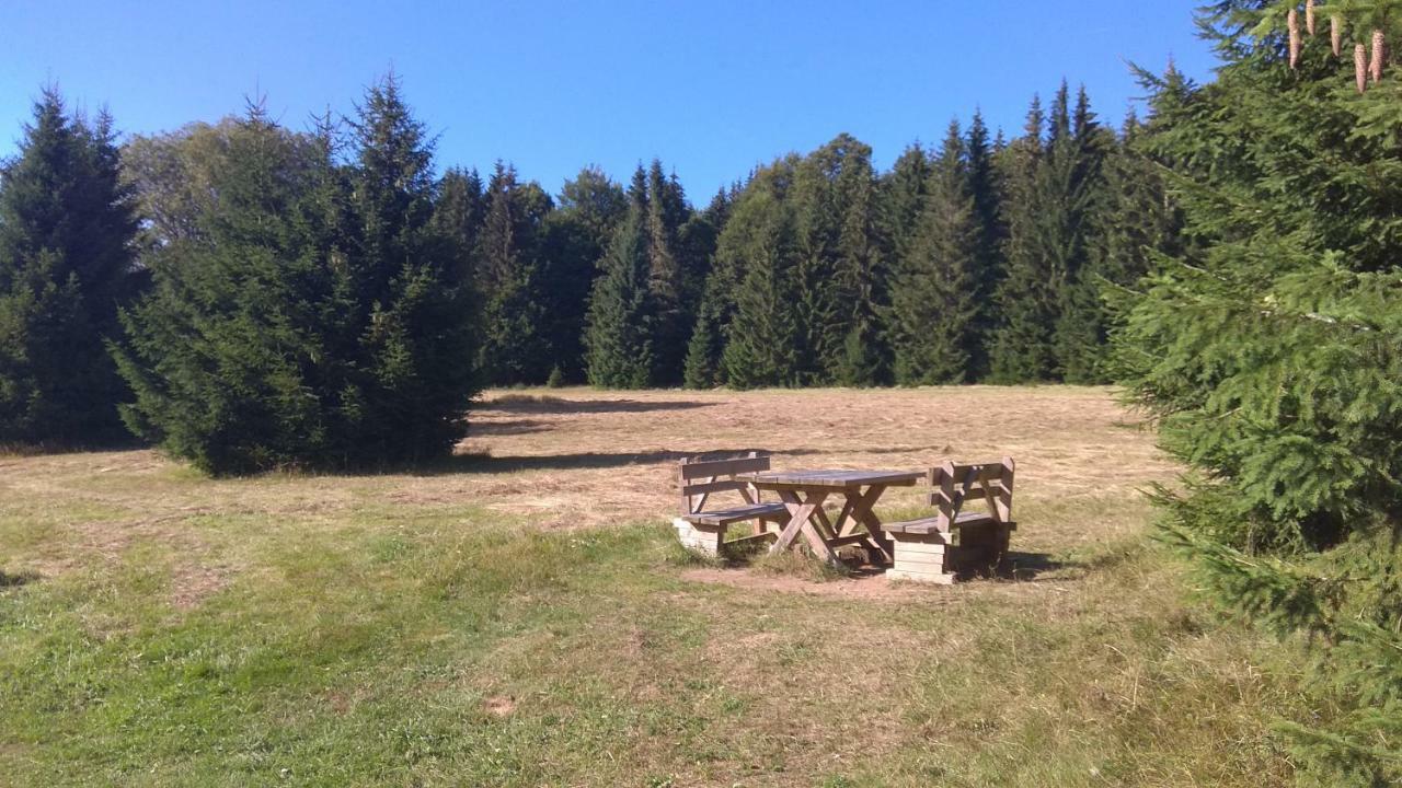 Apt.Jana ,apt.Terezka Stozec Bagian luar foto