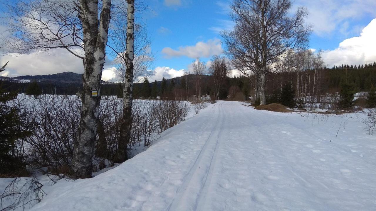 Apt.Jana ,apt.Terezka Stozec Bagian luar foto